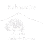 logo essaie fondblanc